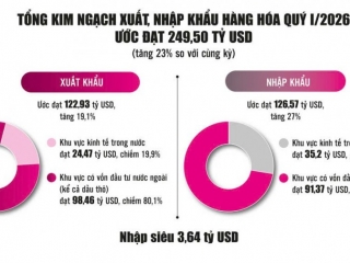 Nhập khẩu tăng tốc, tạo lực đẩy cho xuất khẩu và nguồn thu ngân sách